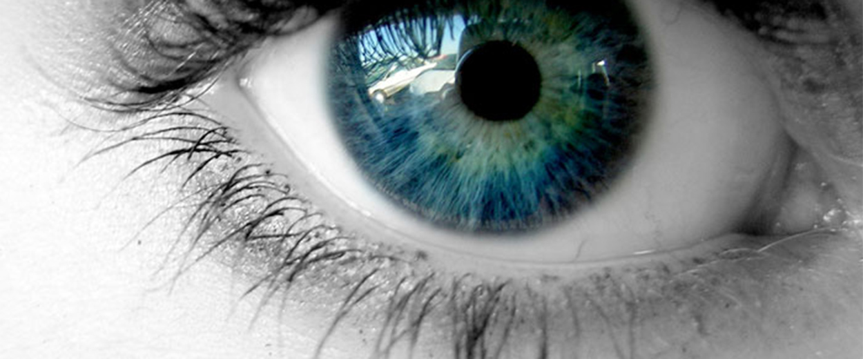 Nocturnal lens Scotlens – custom fit GP contact lenses – general eye image